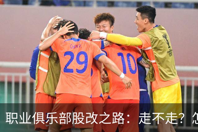 职业俱乐部股改之路：走不走？怎么走？